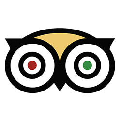 Trip Advisor Review
